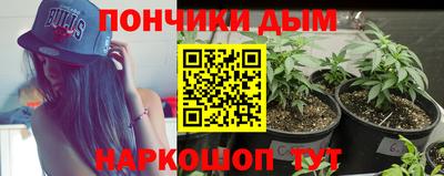 сатива Берёзовский