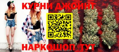 сатива Берёзовский
